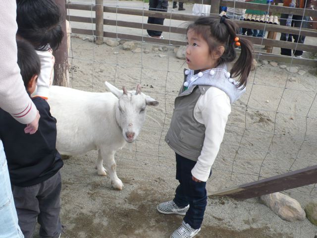 d0091001_22212792.jpg