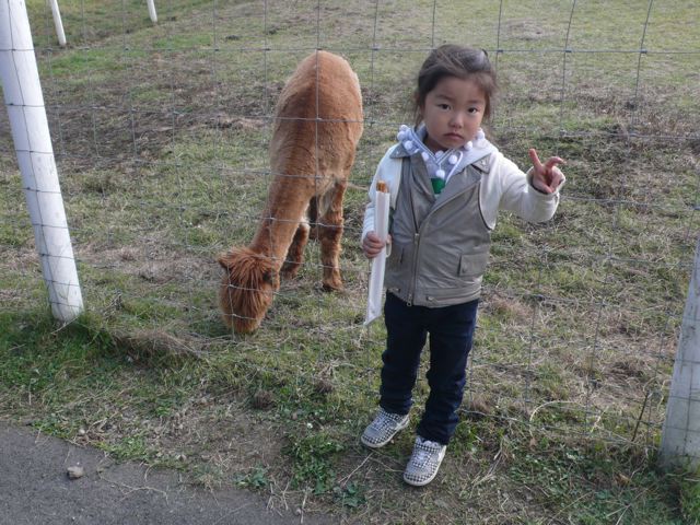 d0091001_22222275.jpg