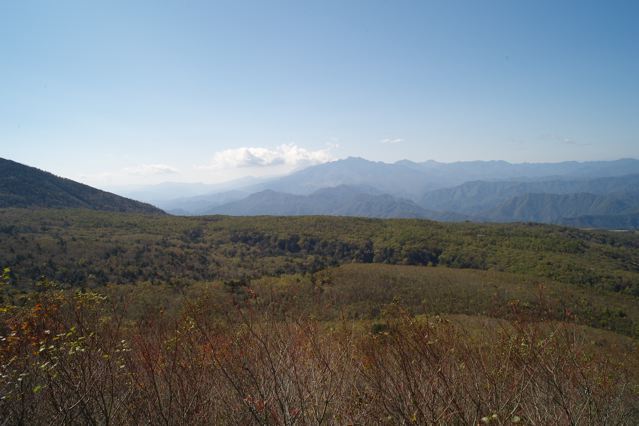 d0091001_22575961.jpg