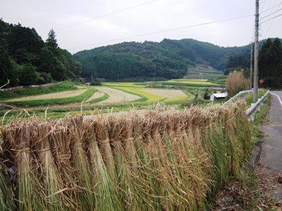 d0018704_1422911.jpg