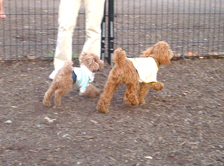 c0110906_14402635.jpg