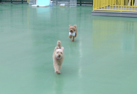 c0110906_14501737.jpg