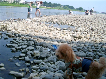 c0110906_15451651.jpg