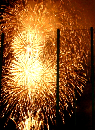 c0110906_15564547.jpg