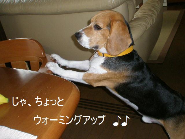 c0205806_1521346.jpg
