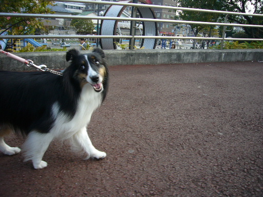 e0130008_20501019.jpg