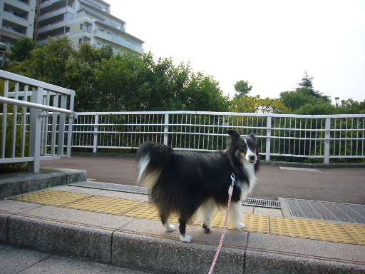 e0130008_20502326.jpg
