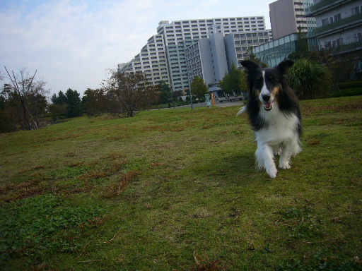 e0130008_20534472.jpg