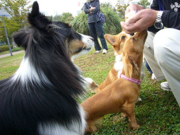 e0130008_20544572.jpg