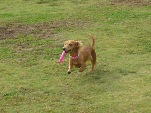 e0130008_20551251.jpg