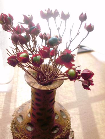f0008510_12132489.jpg
