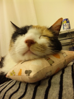 c0201113_22221485.jpg