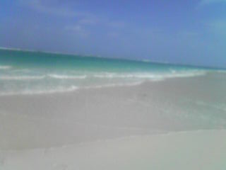 e0134616_1404990.jpg