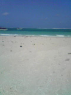 e0134616_1421283.jpg