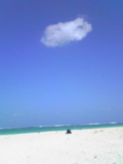e0134616_1422754.jpg