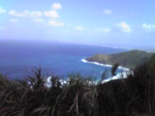 e0134616_1433718.jpg
