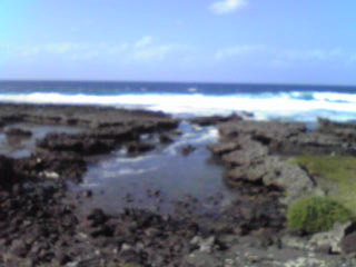 e0134616_1435312.jpg