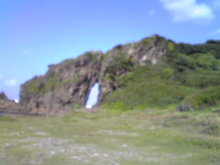 e0134616_1445866.jpg