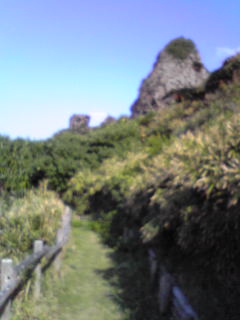 e0134616_144620.jpg