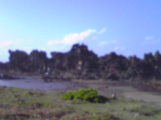 e0134616_1451373.jpg