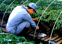 f0126417_2039295.jpg