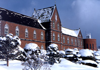 f0126417_2073790.jpg