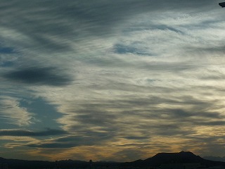 a0118718_447580.jpg
