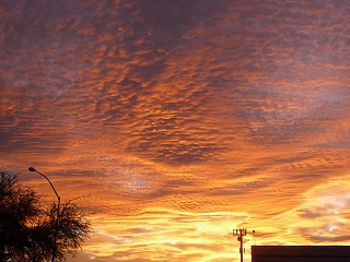 a0118718_4504769.jpg