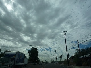 a0118718_4521068.jpg