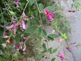 f0139520_15433987.jpg