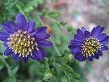 f0139520_15441036.jpg
