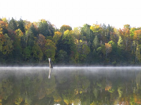 b0150023_17172071.jpg