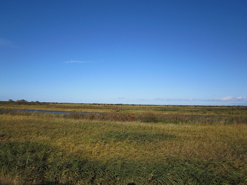 b0150023_17173349.jpg