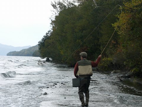 b0150023_1718315.jpg