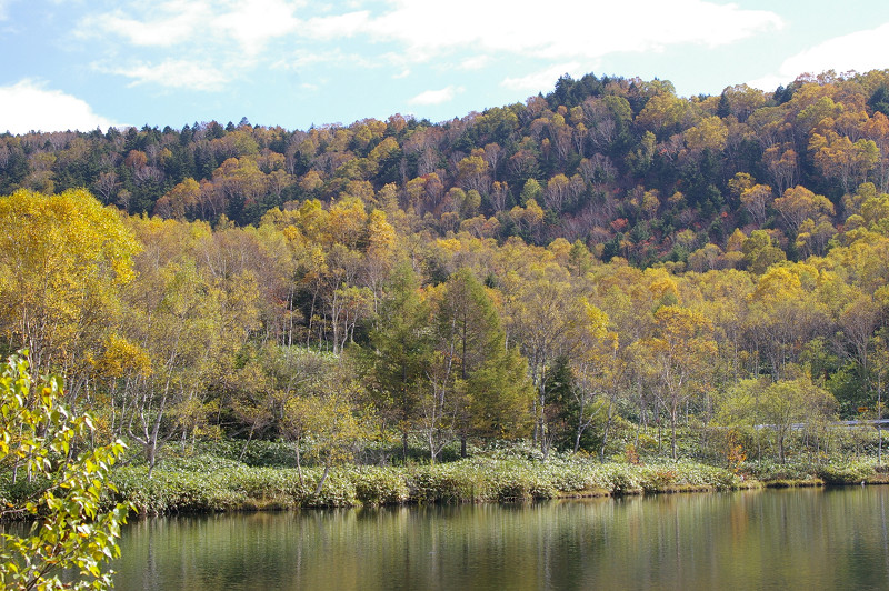 e0136424_9245528.jpg