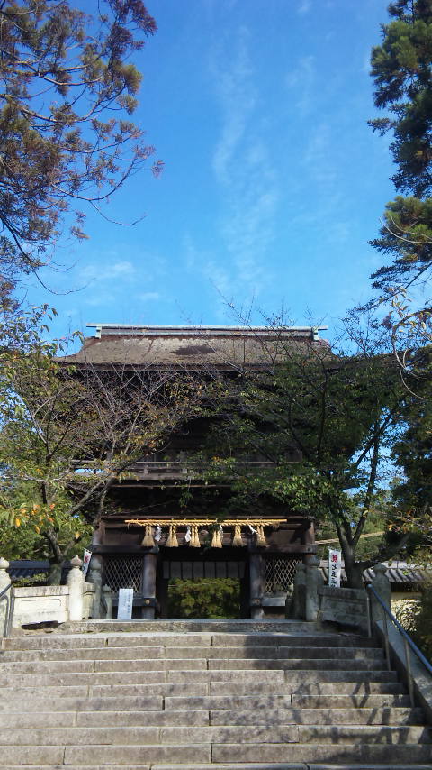 c0127029_1557547.jpg