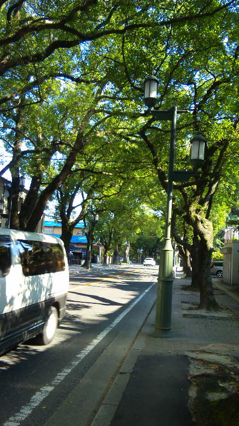 c0127029_1557556.jpg