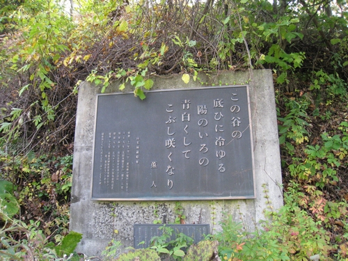 b0168830_83829100.jpg