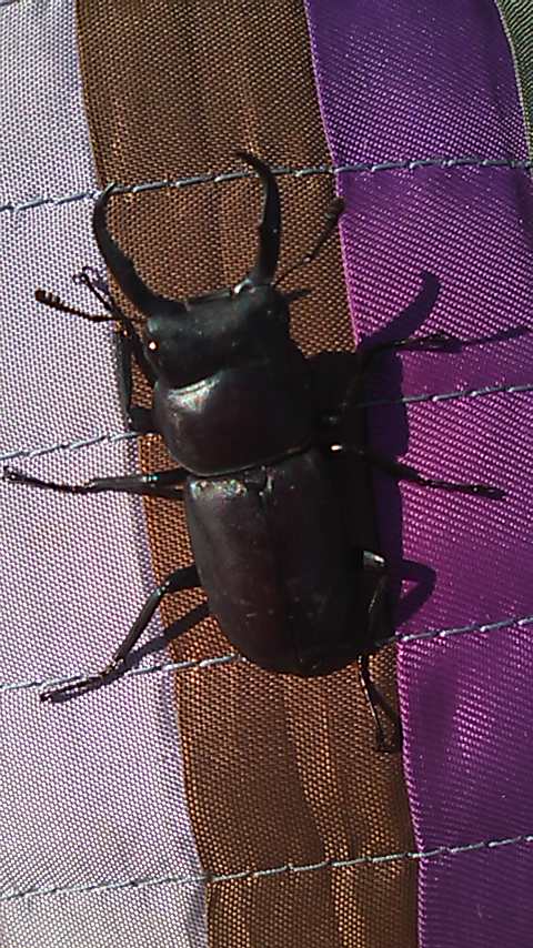 b0178530_2392193.jpg