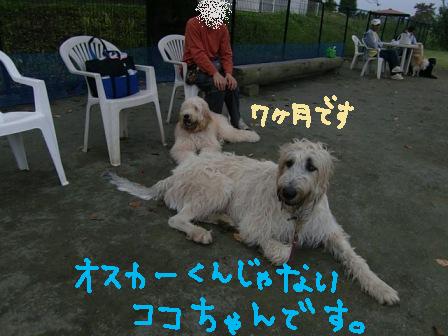 f0176830_1781182.jpg