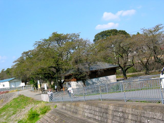 c0208832_9581787.jpg