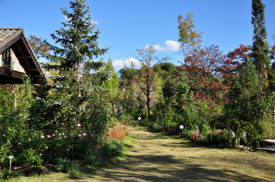 c0133533_012168.jpg