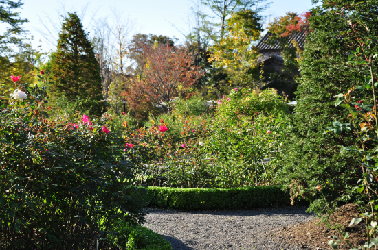 c0133533_0145180.jpg