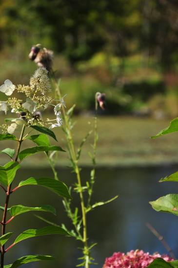 c0133533_055210.jpg