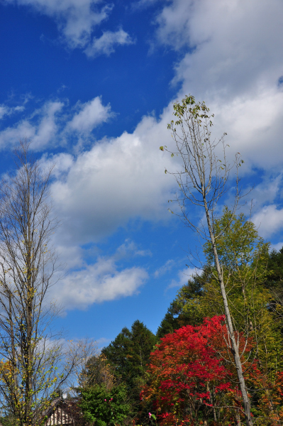 c0133533_064849.jpg
