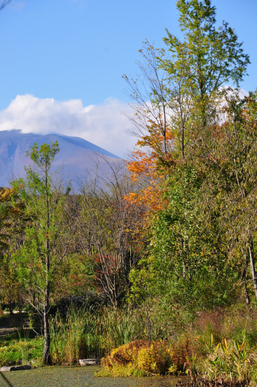 c0133533_071191.jpg