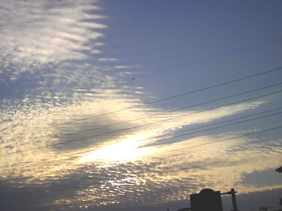 e0149934_4534192.jpg