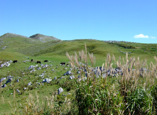 b0149340_2126821.jpg