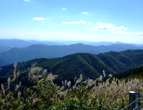 b0149340_21481644.jpg