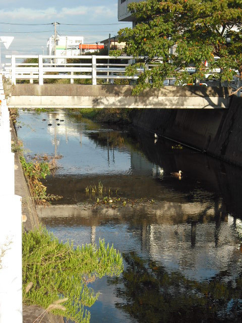 c0194042_21302570.jpg